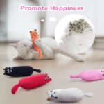 Legendog 5Pcs Bite Resistant Catnip Toy for Cats,Catnip Filled Cartoon Mice Cat ... - Image 3