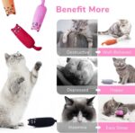 Legendog 5Pcs Bite Resistant Catnip Toy for Cats,Catnip Filled Cartoon Mice Cat ... - Image 4