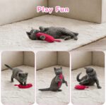 Legendog 5Pcs Bite Resistant Catnip Toy for Cats,Catnip Filled Cartoon Mice Cat ... - Image 5