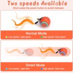 BABORUI 2Pack Interactive Cat Toy Ball - Automatic Interactive Cat Toys for Indo... - Image 5