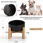Petygooing Black Raised/Elevated 15°Slanted Ceramic Dog Bowl for Small Breeds,Ti... - Image 5