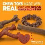 Nylabone Strong Chew Dog Toy 4-Pack Made with Real Bacon, Bison, Venison, Beef, ... - Image 3