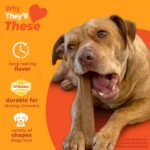 Nylabone Strong Chew Dog Toy 4-Pack Made with Real Bacon, Bison, Venison, Beef, ... - Image 4
