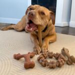 Nylabone Strong Chew Dog Toy 4-Pack Made with Real Bacon, Bison, Venison, Beef, ... - Image 6