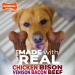 Nylabone Strong Chew Dog Toy 4-Pack Made with Real Bacon, Bison, Venison, Beef, ... - Image 11