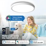 TALOYA Smart Ceiling Light Flush Mount LED WiFi,Compatible with Alexa Google Hom... - Image 6