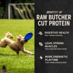 Vital Essentials Freeze Dried Dog Treats | Beef Liver, Single Ingredient | Premi... - Image 5