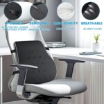 Lumbar Support Pillow for Office Chair, Office Home Essentials,Gifts for Mom,Dad... - Image 10
