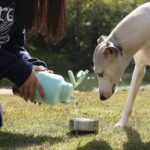 GiNT 37oz Insulated Stainless Steel Dog & Human Water Bottle | Leakproof Travel ... - Image 10