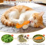 ETEKYER Catnip Cat Toys, 5 Pack, Plush Catnip Toys for Indoor Cats Kitten, Inter... - Image 3