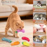 ETEKYER Catnip Cat Toys, 5 Pack, Plush Catnip Toys for Indoor Cats Kitten, Inter... - Image 4