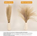 65PCS Pampas Grass Decor, Including pompas Floral, Reed Dried Grass and Bunny Ta... - Image 3