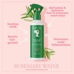 Camille Rose Rosemary Water, Daily Hair Strengthening Mist – Hydrating Refresher... - Image 5