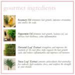 Camille Rose Rosemary Water, Daily Hair Strengthening Mist – Hydrating Refresher... - Image 8