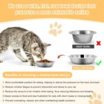 Stainless Steel Cat Bowl-Shallow Wide Flat Cats Food Bowls,Metal Kitten Dishes W... - Image 5