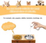 Stainless Steel Cat Bowl-Shallow Wide Flat Cats Food Bowls,Metal Kitten Dishes W... - Image 7