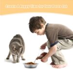 Stainless Steel Cat Bowl-Shallow Wide Flat Cats Food Bowls,Metal Kitten Dishes W... - Image 9