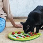 Catstages Nina Ottosson Buggin’ Out Puzzle & Play Cat Puzzle Feeder – Interactiv... - Image 9