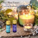 Essential Oil Set, 15 Pcs Fragrance Aromatherapy Oils for Skin, Diffusers, Home ... - Image 3