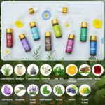 Essential Oil Set, 15 Pcs Fragrance Aromatherapy Oils for Skin, Diffusers, Home ... - Image 4