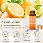 Essential Oil Set, 15 Pcs Fragrance Aromatherapy Oils for Skin, Diffusers, Home ... - Image 7