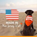Nylabone Original Bone Power Chew Toys for Dogs, Durable & Tough Dog Toys for Ag... - Image 9
