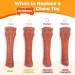 Nylabone Original Bone Power Chew Toys for Dogs, Durable & Tough Dog Toys for Ag... - Image 10