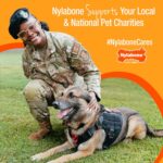 Nylabone Original Bone Power Chew Toys for Dogs, Durable & Tough Dog Toys for Ag... - Image 11