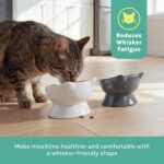 Kitty City Elevated Cat Bowls (Set of 2), Whisker-Friendly Raised Cat Food & Wat... - Image 5