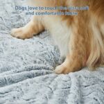 WNPETHOME XL Extra Large Dog Bed, Washable Dog Couch with Removable Waterproof C... - Image 9
