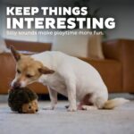 Outward Hound Hedgehogz Stuffed Dog Toy – Soft Plush Hedgehog, Squeaks, 6" x 4" ... - Image 5