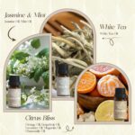 ARVIDSSON Hotel Diffuser Oils Gift Set - Hotel Essential Oils for Diffusers and ... - Image 5