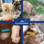 EasyGroomer Deshedding Brush for Dogs & Cats – Undercoat Grooming Tool for Short... - Image 7
