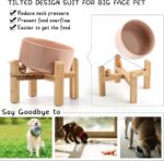 Petygooing Khaki Raised/Elevated 15°Slanted Ceramic Dog Bowl for Small Breeds,Ti... - Image 6