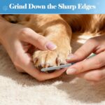 Swihauk Heavy Duty Dog Nail Clippers and Trimmers, Professional Pet Nail Clipper... - Image 8