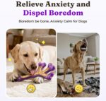 Frienhund 2-Pack Indestructible Dog Chew Toys for Aggressive Chewers: Textured C... - Image 3