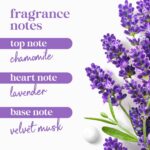 Dove 24hr Lotion Body Wash Relax Lavender Oil & Chamomile, 30.6 oz | Hydrating b... - Image 10