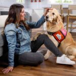 Milk-Bone Dunkin’ Vanilla Glaze Flavor Dog Biscuits with Other Natural Flavors, ... - Image 6