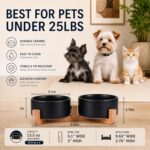Petygooing Ceramic Dog Cat Bowls Set with Stand,Black Pet Food and Water Bowl,Sm... - Image 4
