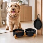 Petygooing Ceramic Dog Cat Bowls Set with Stand,Black Pet Food and Water Bowl,Sm... - Image 6
