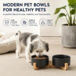 Petygooing Ceramic Dog Cat Bowls Set with Stand,Black Pet Food and Water Bowl,Sm... - Image 7