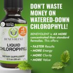Benevolent Nourishment Chlorophyll Supplement, Detox & Immune Support, Internal ... - Image 3