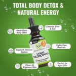 Benevolent Nourishment Chlorophyll Supplement, Detox & Immune Support, Internal ... - Image 4