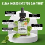 Benevolent Nourishment Chlorophyll Supplement, Detox & Immune Support, Internal ... - Image 8