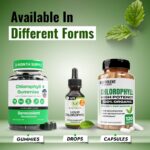 Benevolent Nourishment Chlorophyll Supplement, Detox & Immune Support, Internal ... - Image 9