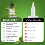 Benevolent Nourishment Chlorophyll Supplement, Detox & Immune Support, Internal ... - Image 10