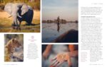 Lonely Planet Best in Travel 2026: A Year's Worth of Travel Inspiration | Brand ... - Image 9