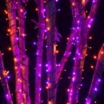DAZZLE BRIGHT Halloween 300 LED String Lights, 100FT String Lights with 8 Lighti... - Image 6
