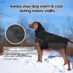 QBLEEV Warm Dog Jacket - Reflective, Adjustable Winter Coat with Turtleneck for ... - Image 4
