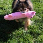 SmartPetLove Snuggle Puppy Tender Tuffs - Water Bottle Cruncher with Puncture Re... - Image 6